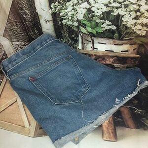 Bdg urban outfitter basic short raw hem jean shorts Boyfriend Low-Rise size 32